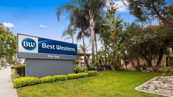 Best Western Pine Tree Motel image 8